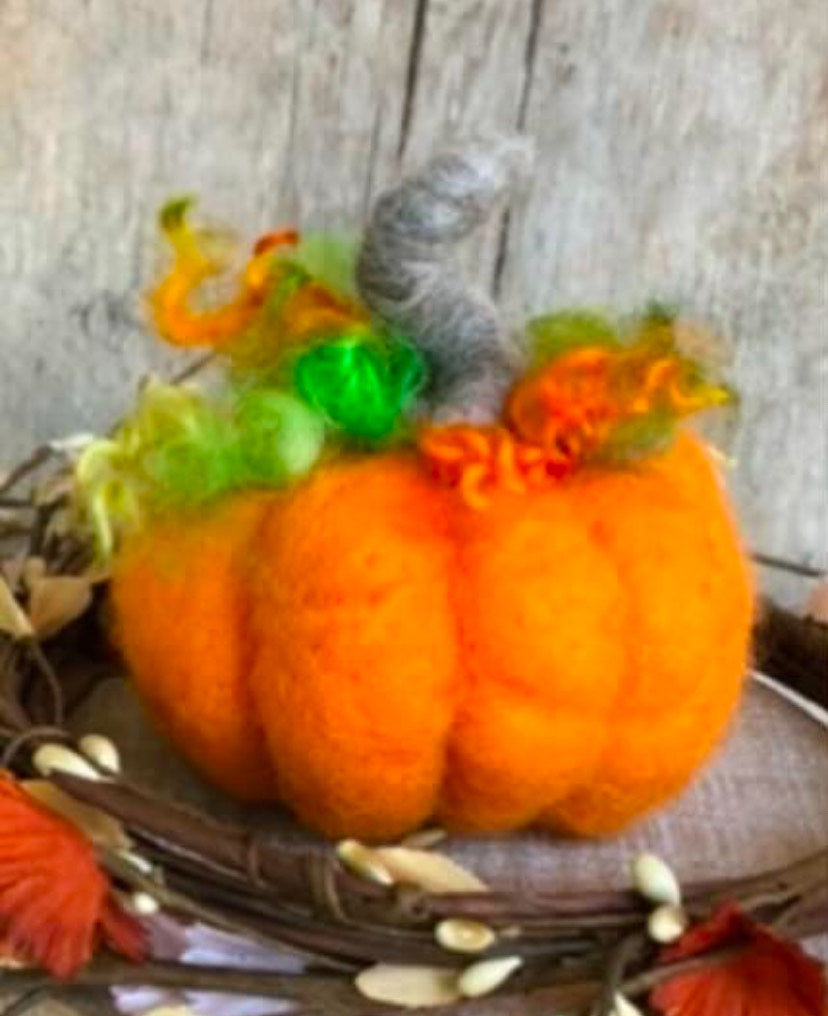 Needle Felted Pumpkin with Lisa Haldeman (9/27/25 8:30 AM)